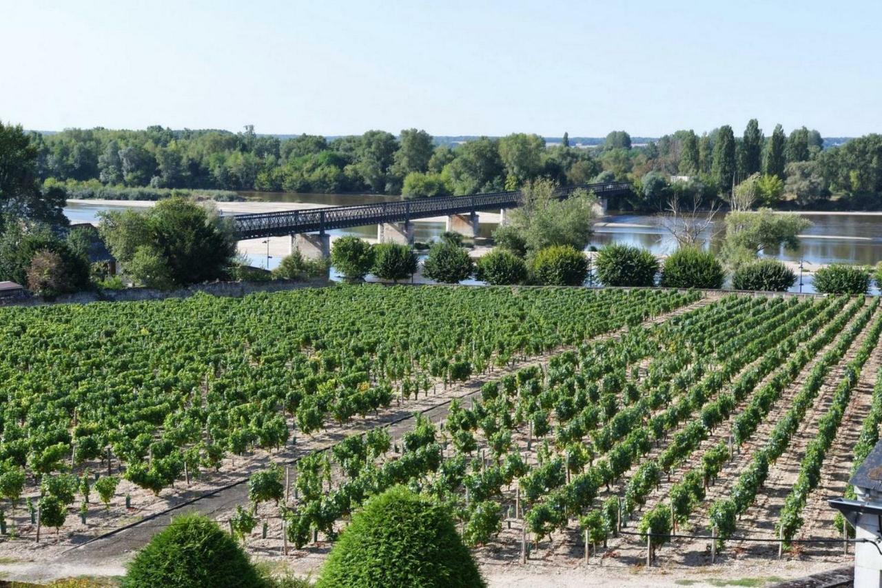 Gite Des Chaumiennes Pouilly-sur-Loire Exterior foto